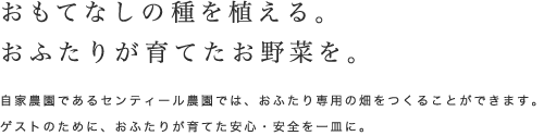 おもてなしの種を植える。おふたりが育てたお野菜を。｜自家農園であるセンティール農園では、おふたり専用の畑をつくることができます。ゲストのために、おふたりが育てた安心・安全を一皿に。